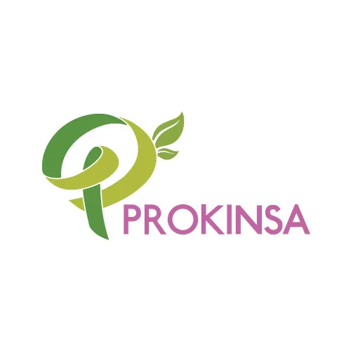 Prokinsa